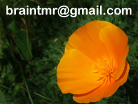 Contact Email Address
